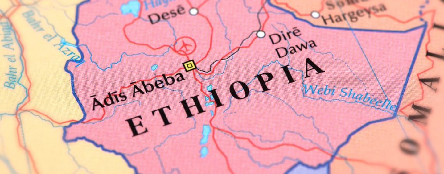 The Diaspora: Atrocities in Ethiopia’s Tigray Region