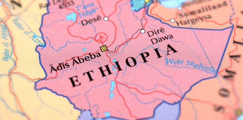 The Diaspora: Atrocities in Ethiopia’s Tigray Region