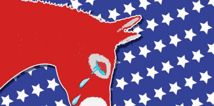 AUTOPSY: The Democratic Party in Crisis – Leadership Still Chasing Republican Voters