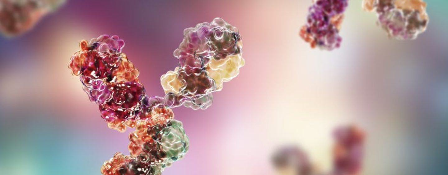 What Monoclonal Antibodies Are – and Why We Need Them as Well as a Vaccine