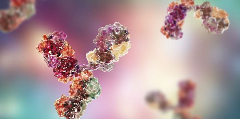 What Monoclonal Antibodies Are – and Why We Need Them as Well as a Vaccine