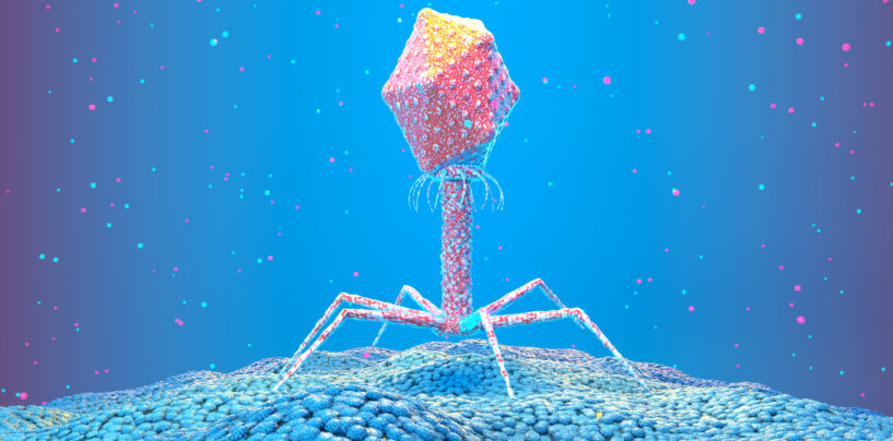 Viruses Are Both the Villains and Heroes of Life as We Know It