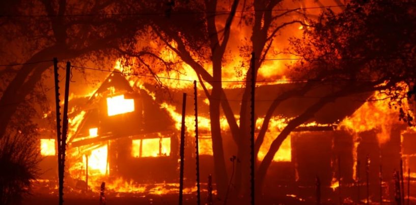 ‘Forces We’ve Unleashed Are Beyond Terrifying’: Footage Shows Horrors of California Wildfires