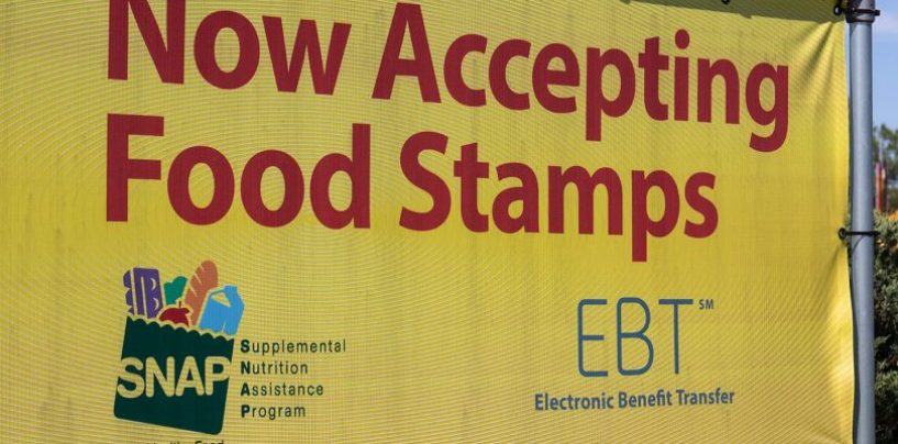 Federal Judge Halts Trump’s Rule That Would Prevent 700K From Receiving Food Stamps During Pandemic