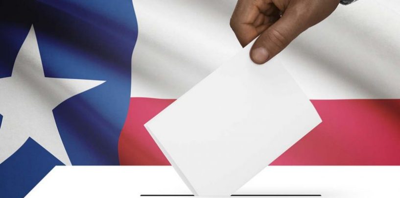 Civil Rights Groups Sue Texas over Voter Citizenship Question