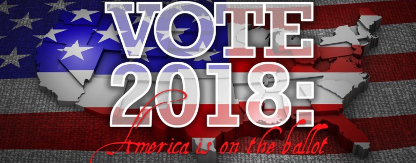 Vote 2018 – America Is on the Ballot – Too Much at Stake to Simply Ignore