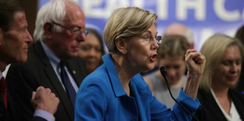 Elizabeth Warren: Democrats Will Keep Losing Until the Entire Party Is ‘Willing to Take on the Billionaire Class’